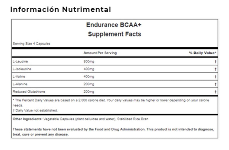 Hammer Endurance BCAA´s